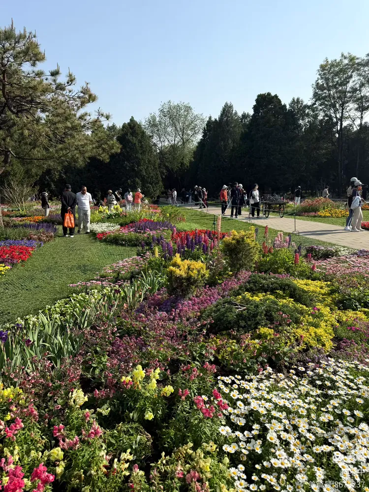 天坛百花园:五一的繁花之约